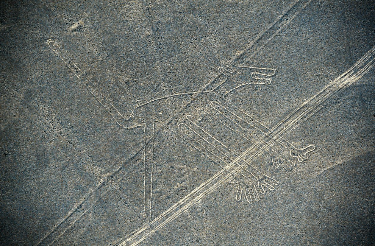 Hund, Nazca-linjer, Nazca, Peru, Nazca Civilization (foto) av Unbekannt Unbekannt