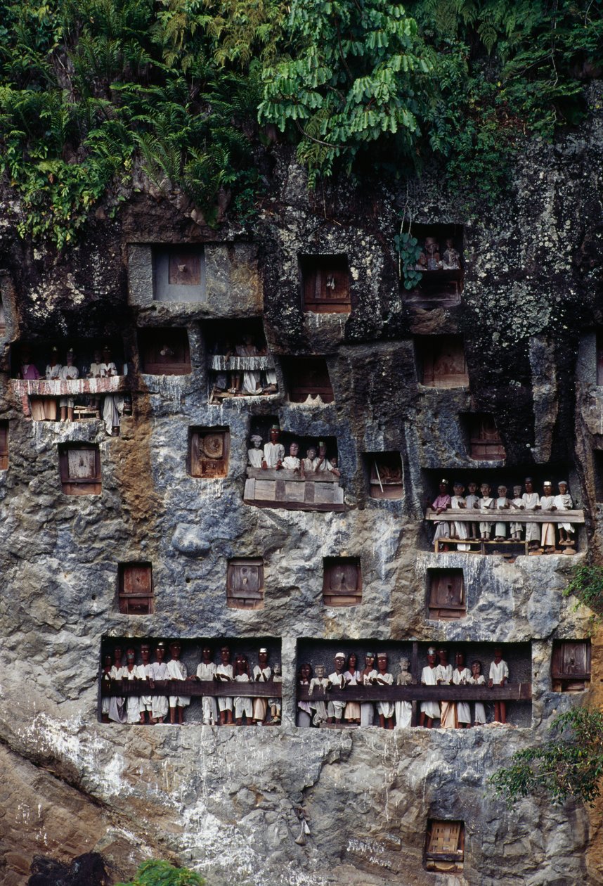 Begravningsnischer med Tau Tau bårhusfigurer, byn Lemo, Tana Toraja, ön Sulawesi, Indonesien. av Unbekannt Unbekannt