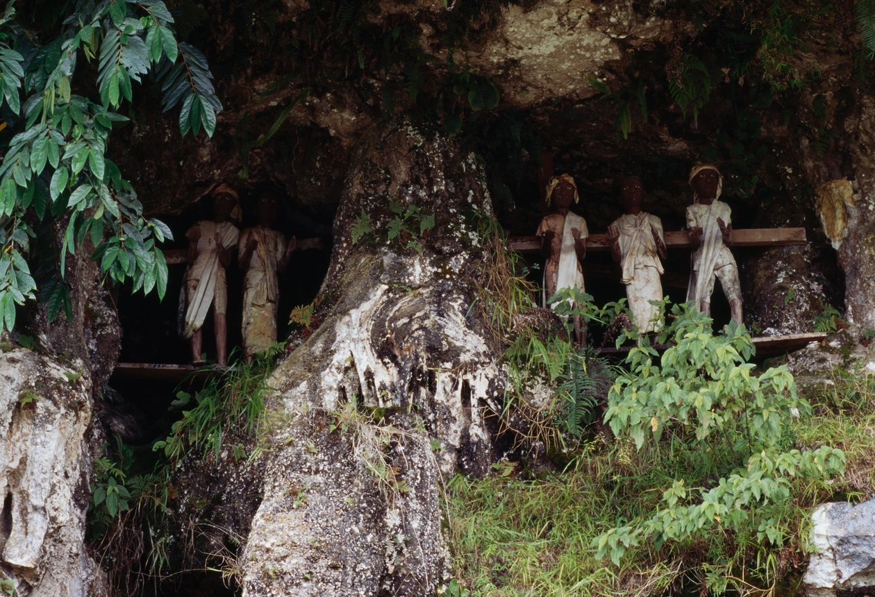 Begravningsnischer med Tau Tau bårhusfigurer, byn Marrante, Tana Toraja, ön Sulawesi, Indonesien av Unbekannt Unbekannt
