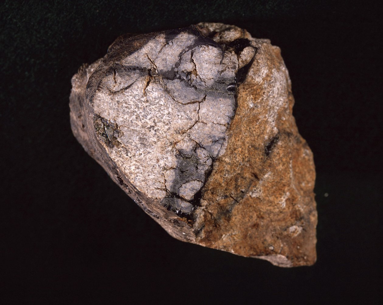 Meteorit hittades i Indien 1875 - Museum d