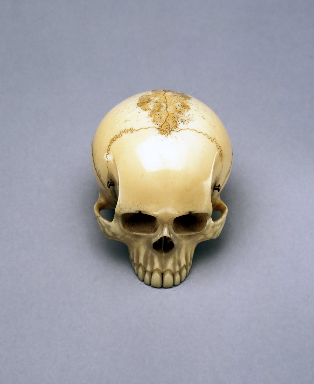 Modell av en dödskalle, förmodligen en netsuke, japansk av Unbekannt Unbekannt