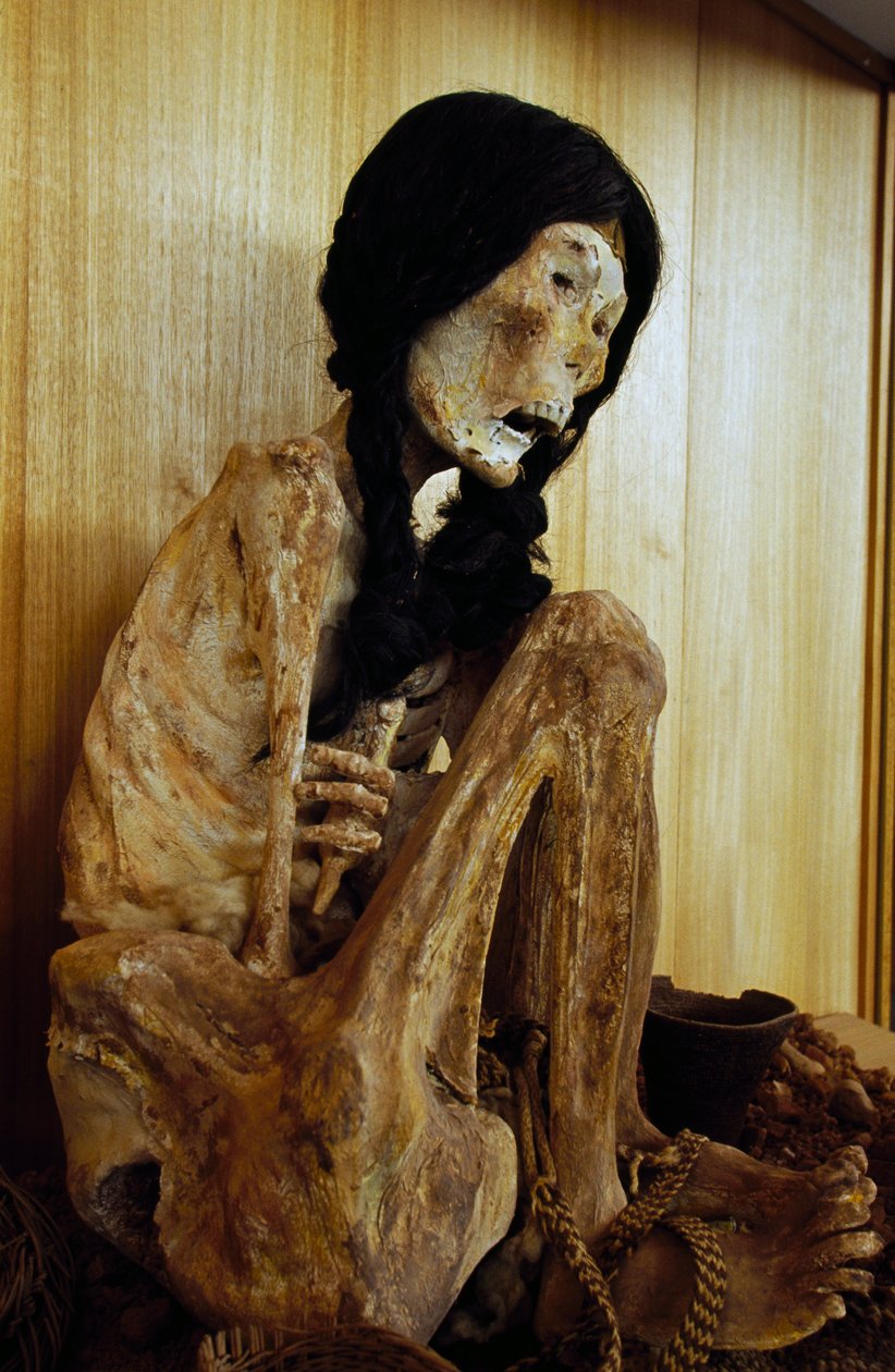 Mamma känd som Miss Chile, från San Pedro de Atacama, Chile, 500 f.Kr av Unbekannt Unbekannt