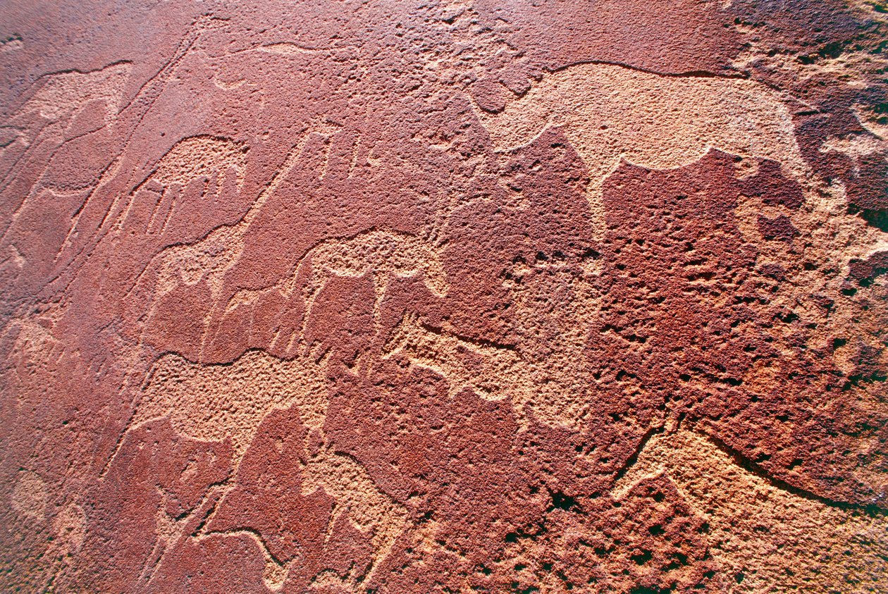 Namibia, Damaralands vildmarksområde, Twyfelfontein, Brandbergbergen, stenålderstengravyrer av Unbekannt Unbekannt