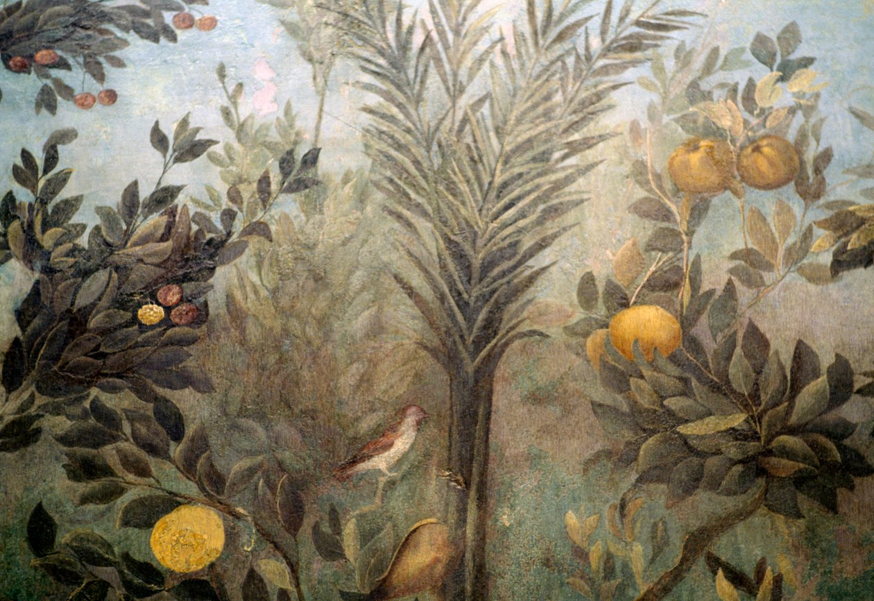 Granatäppleträd, detalj från en fresk föreställande en trädgård med fruktträd och fåglar, från huset av Livia på Palatine-kullen, Rom, Italien. romersk civilisation av Unbekannt Unbekannt