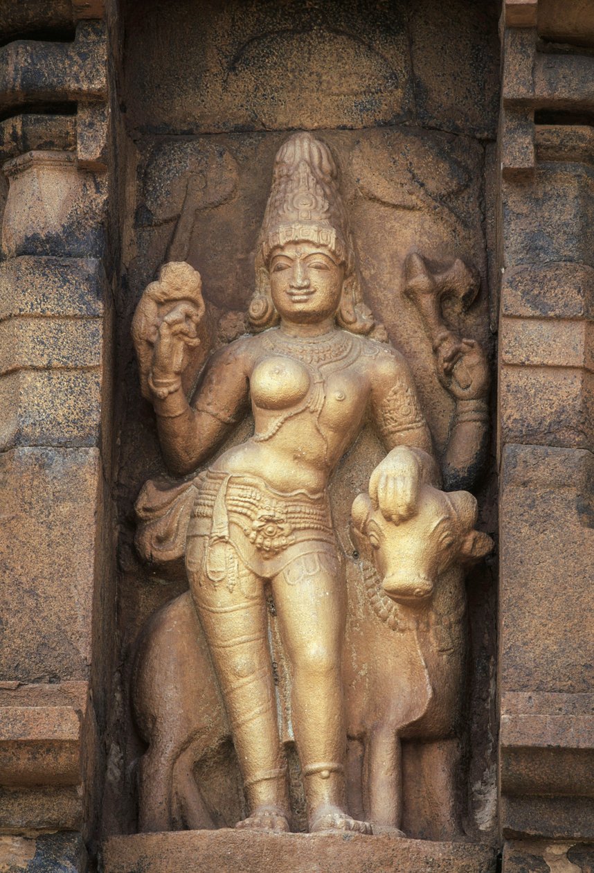 Relief Deficient Parvathi, Brihadeeswara Temple, Gangaikonda Cholapuram, Tamil Nadu, Indien av Unbekannt Unbekannt