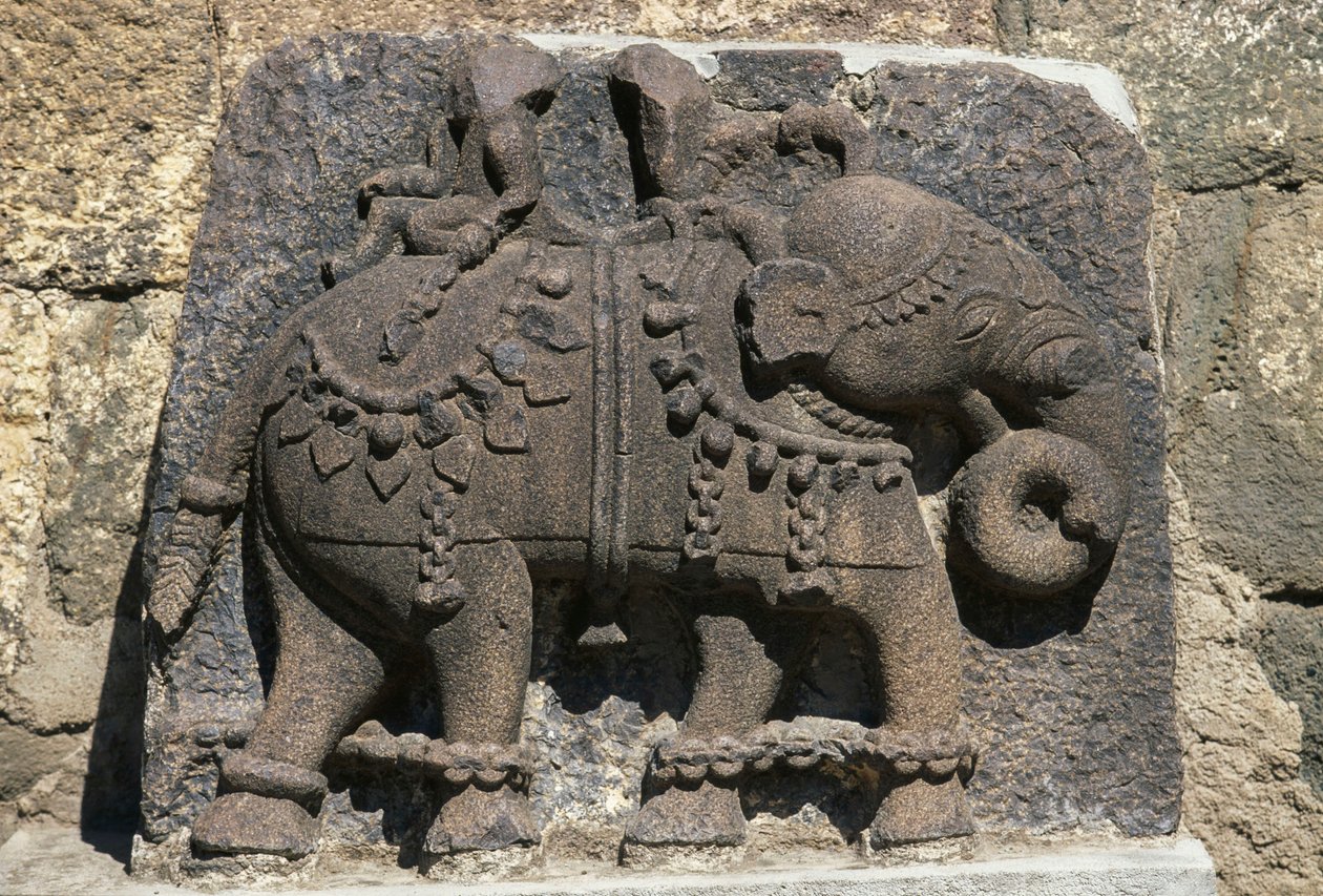 Relief föreställande elefant, Daulatabad (Devagiri) Fort, Maharashtra, Indien av Unbekannt Unbekannt