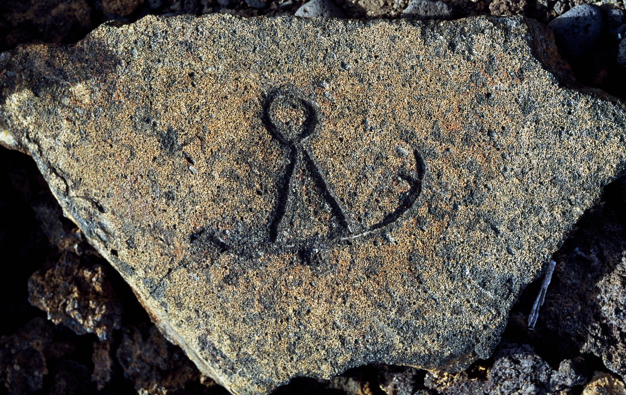 Stengravyr, Puako Petroglyph Archaeological District, Island of Hawaii, USA av Unbekannt Unbekannt