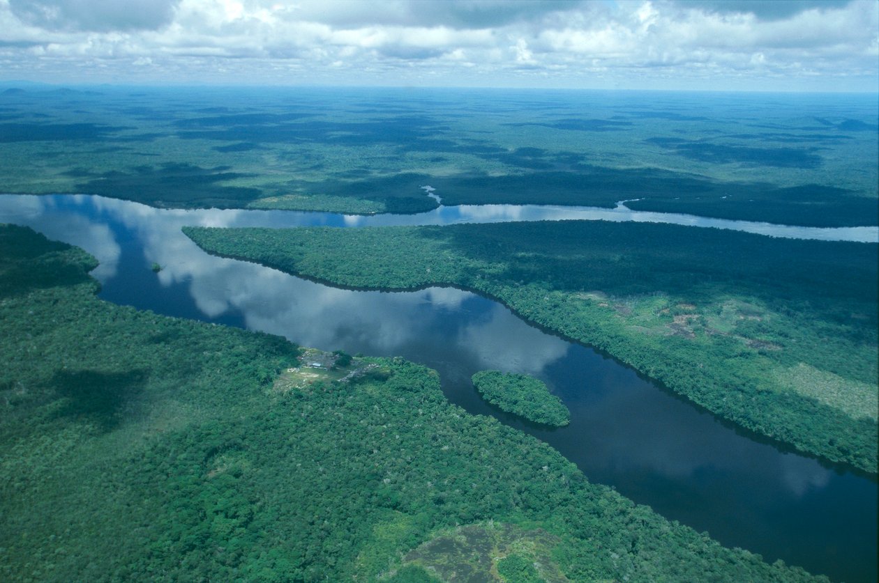 Venezuela, Guayana, delstaten Amazonas, Orinocofloden, flygfoto (Foto) av Unbekannt Unbekannt