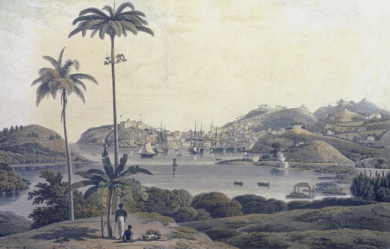 En utsikt över staden St. George på ön Grenada, tagen från Belmont Estate, graverad av William Daniell (1769-1837), ca 1810 av Lieutenant Colonel J. Wilson