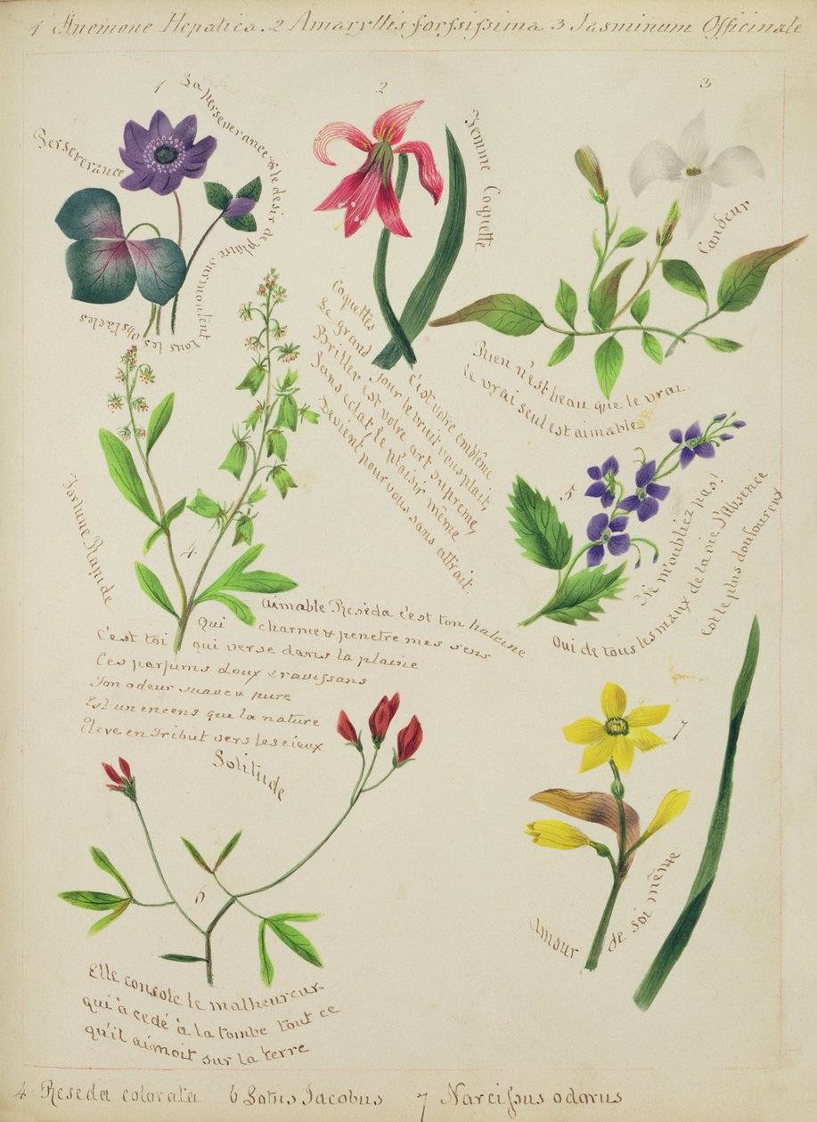 Vilda blommor (sida från en skissbok med vers) av Lili Cartwright