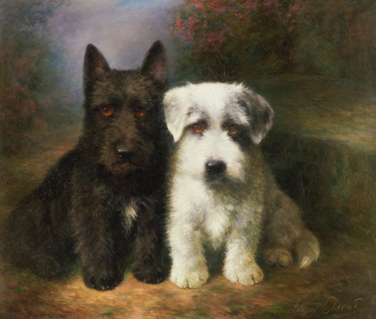 En skotsk och en Sealyham Terrier av Lilian Cheviot