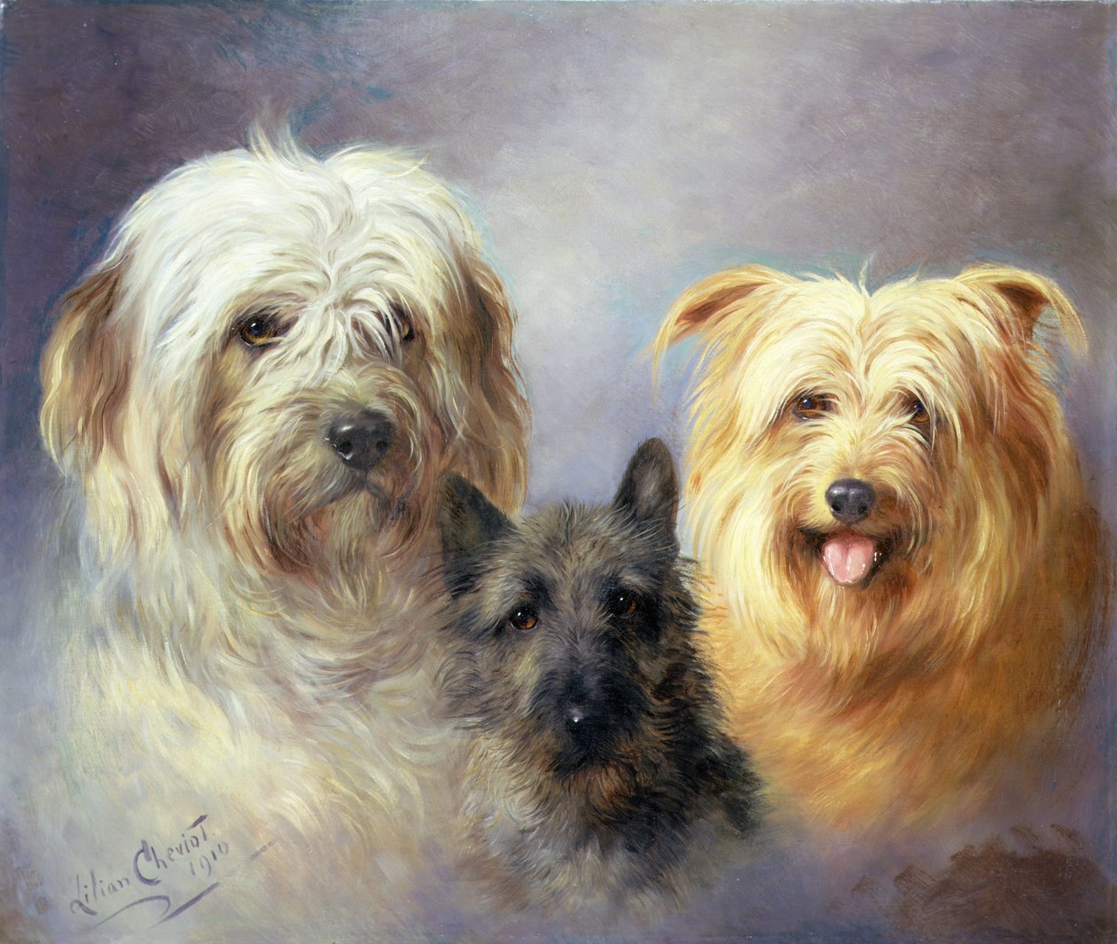 En tibetansk terrier, en cairnterrier och en silkyterrier av Lilian Cheviot