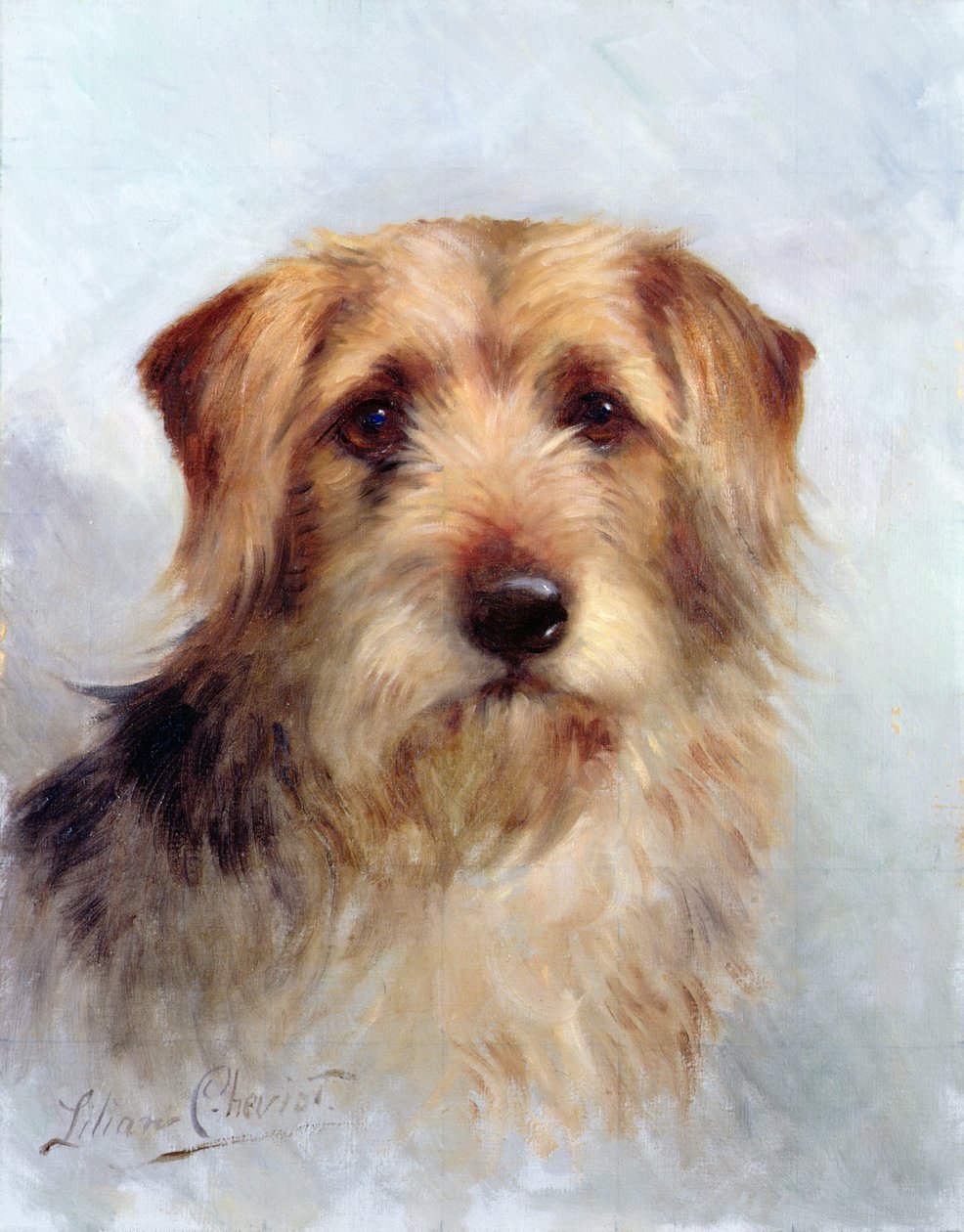En i familjen av Lilian Cheviot