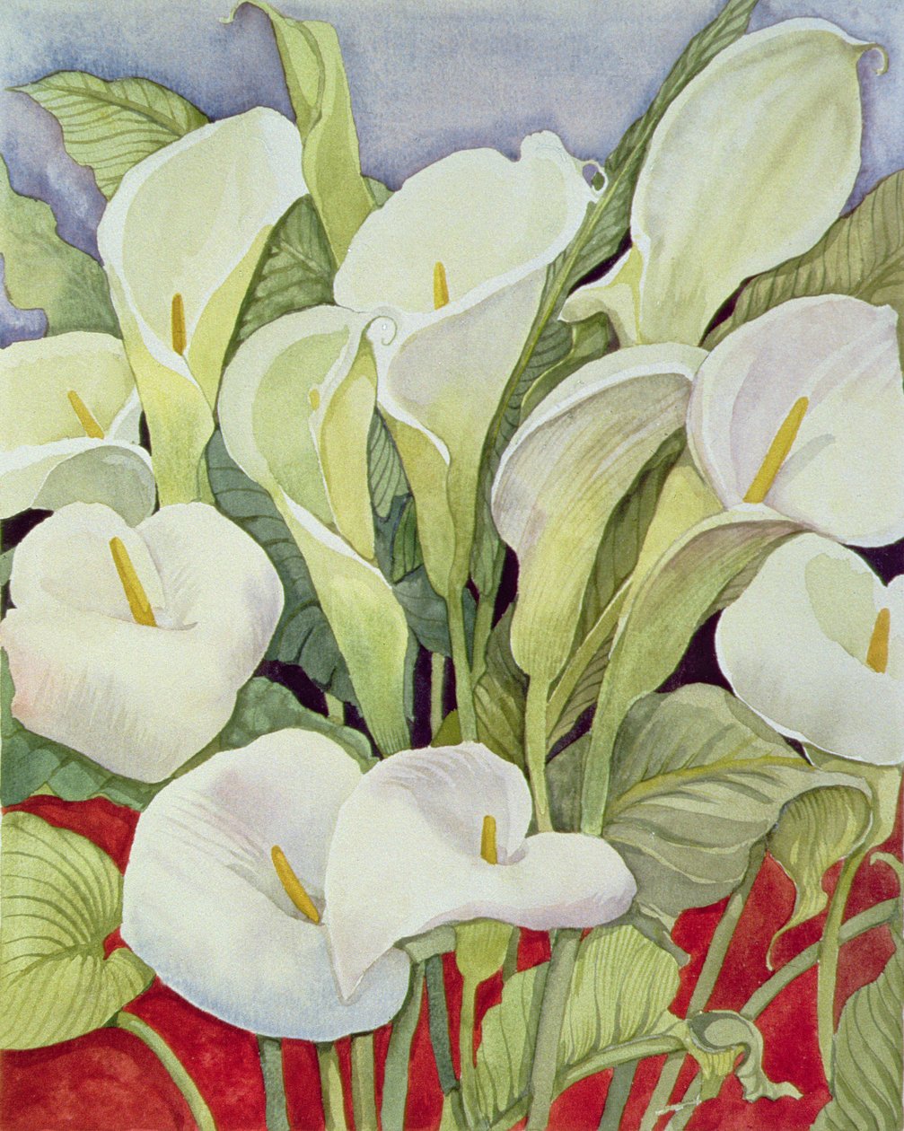 Arum Lillies, 1978 av Lillian Delevoryas