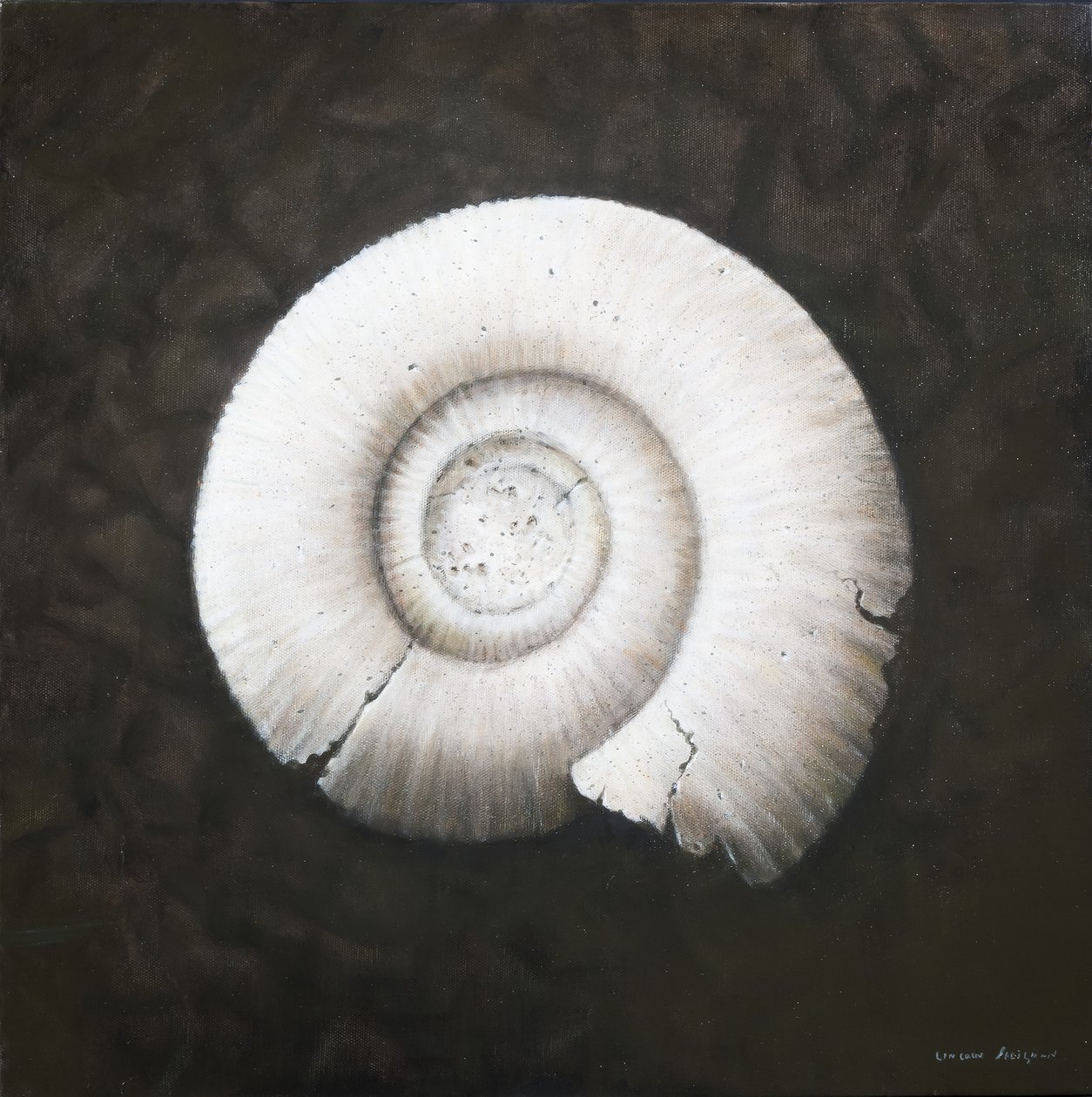 Amononite, 2012 (akryl på duk) av Lincoln Seligman