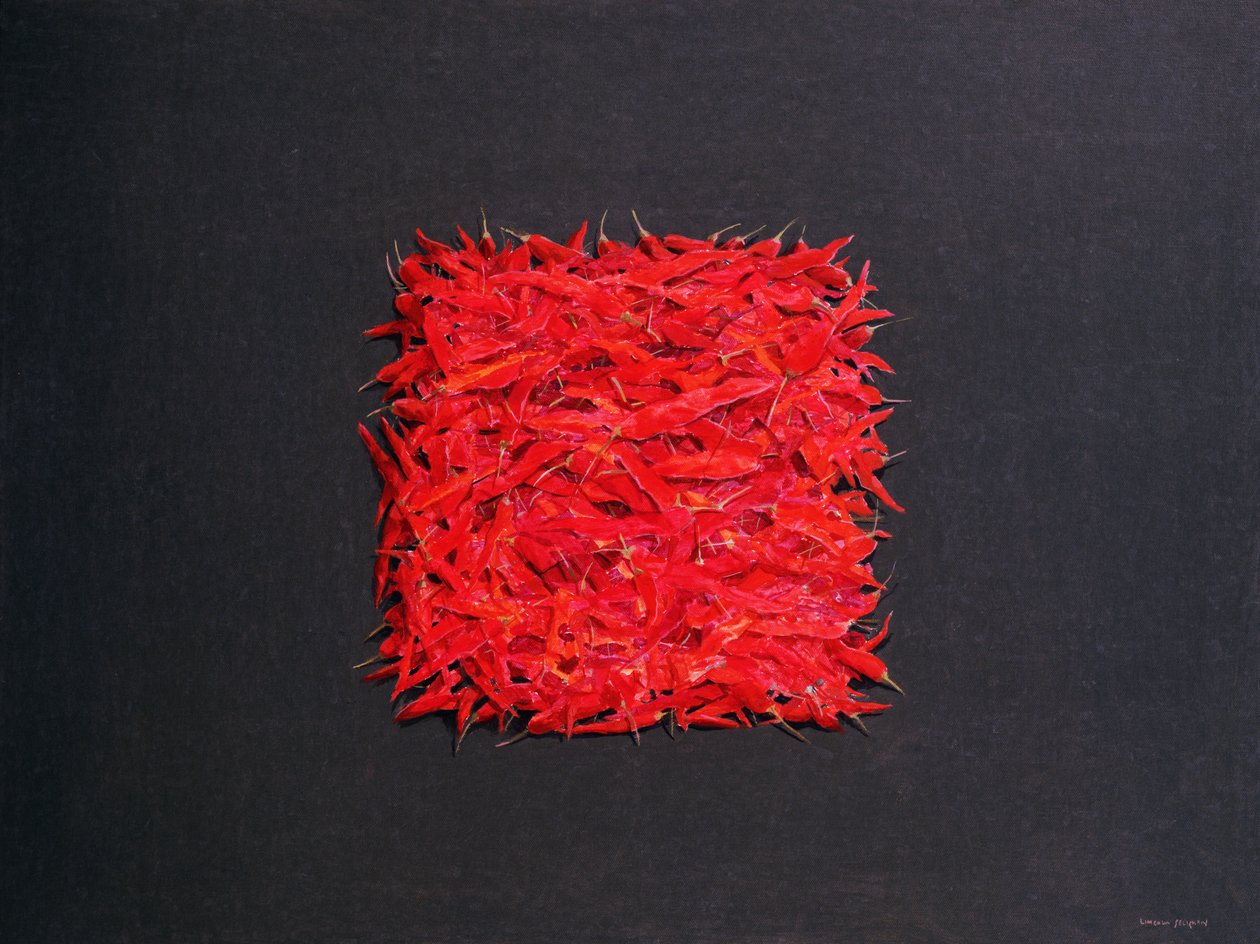 Chili av Lincoln Seligman
