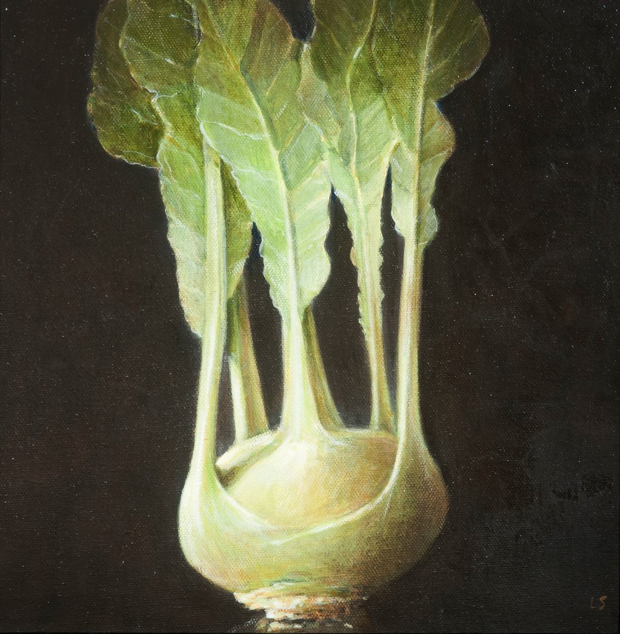 Kohl Rabi, 2012 (akryl på duk) av Lincoln Seligman