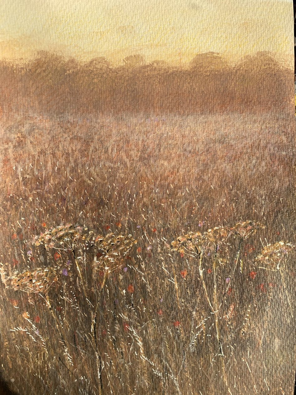 Bean Field Skymning av Lincoln Seligman