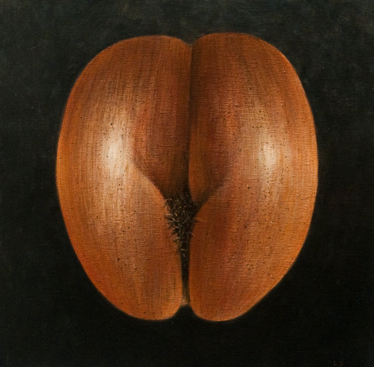 Coco de Mer, 2010 (akryl på duk) av Lincoln Seligman