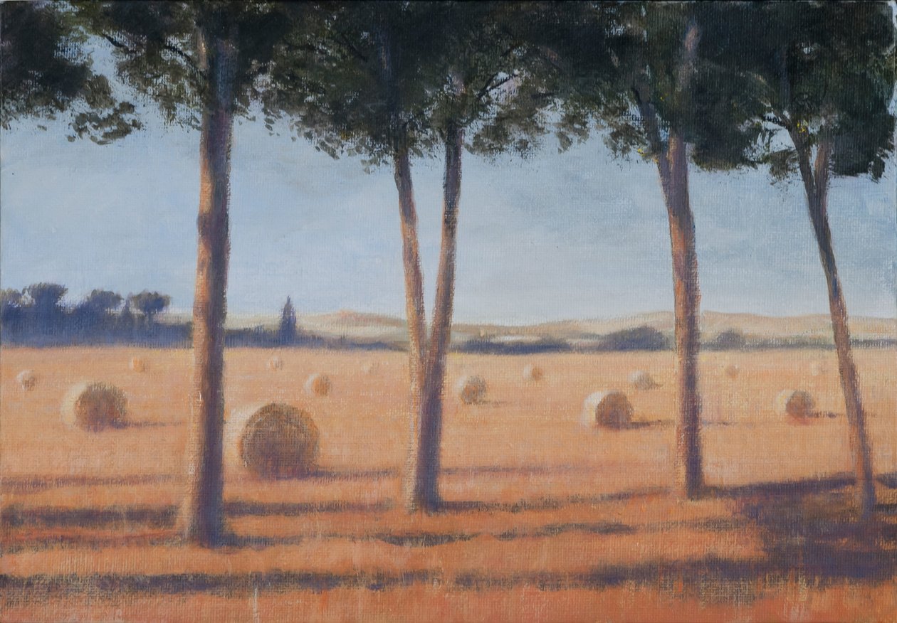 Hay Bales and Pines, Pienza, 2012 (akryl på duk) av Lincoln Seligman