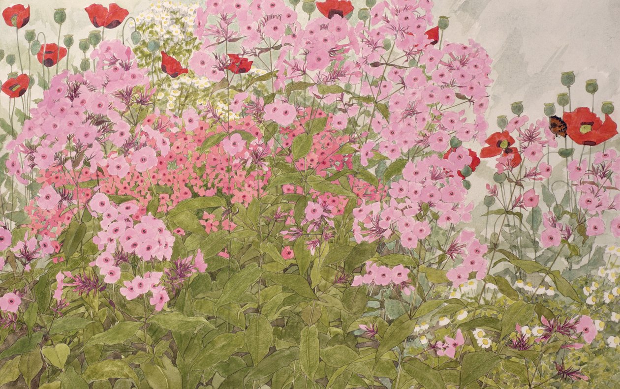 Rosa flox och vallmo med en fjäril (wc på papper) av Linda Benton