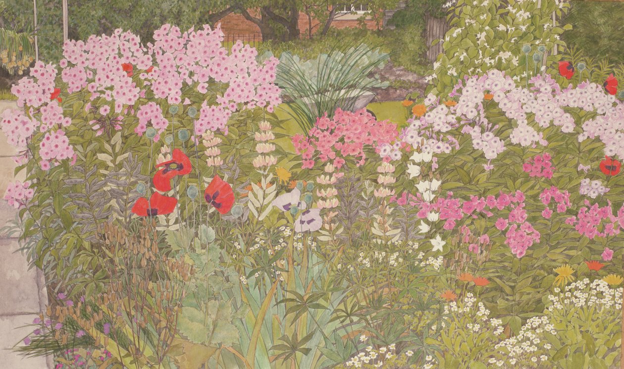 Rosa flox i örtkanten av Linda Benton