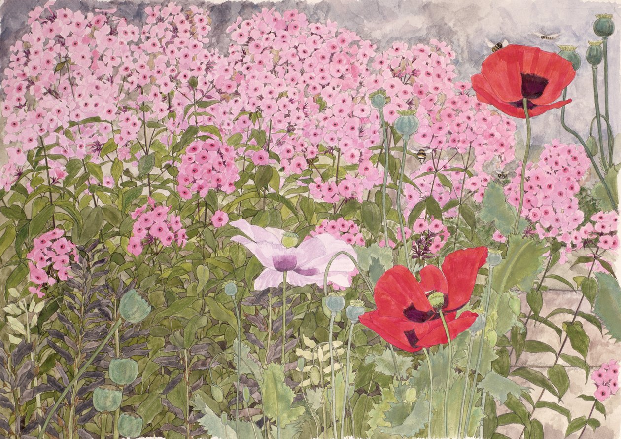 Vallmo och flox av Linda Benton