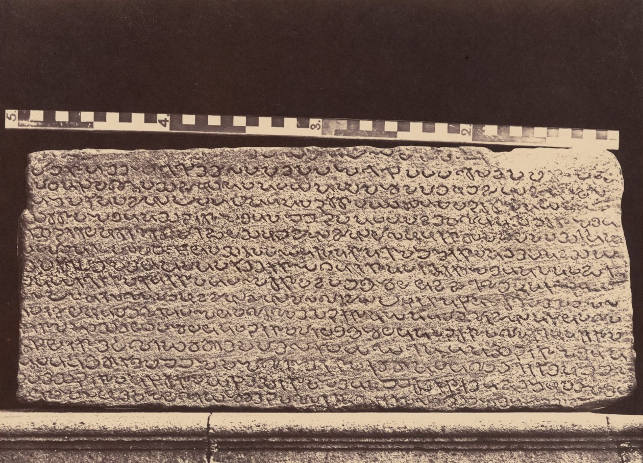 Elliot Marbles,1859 (foto) av Linnaeus Tripe