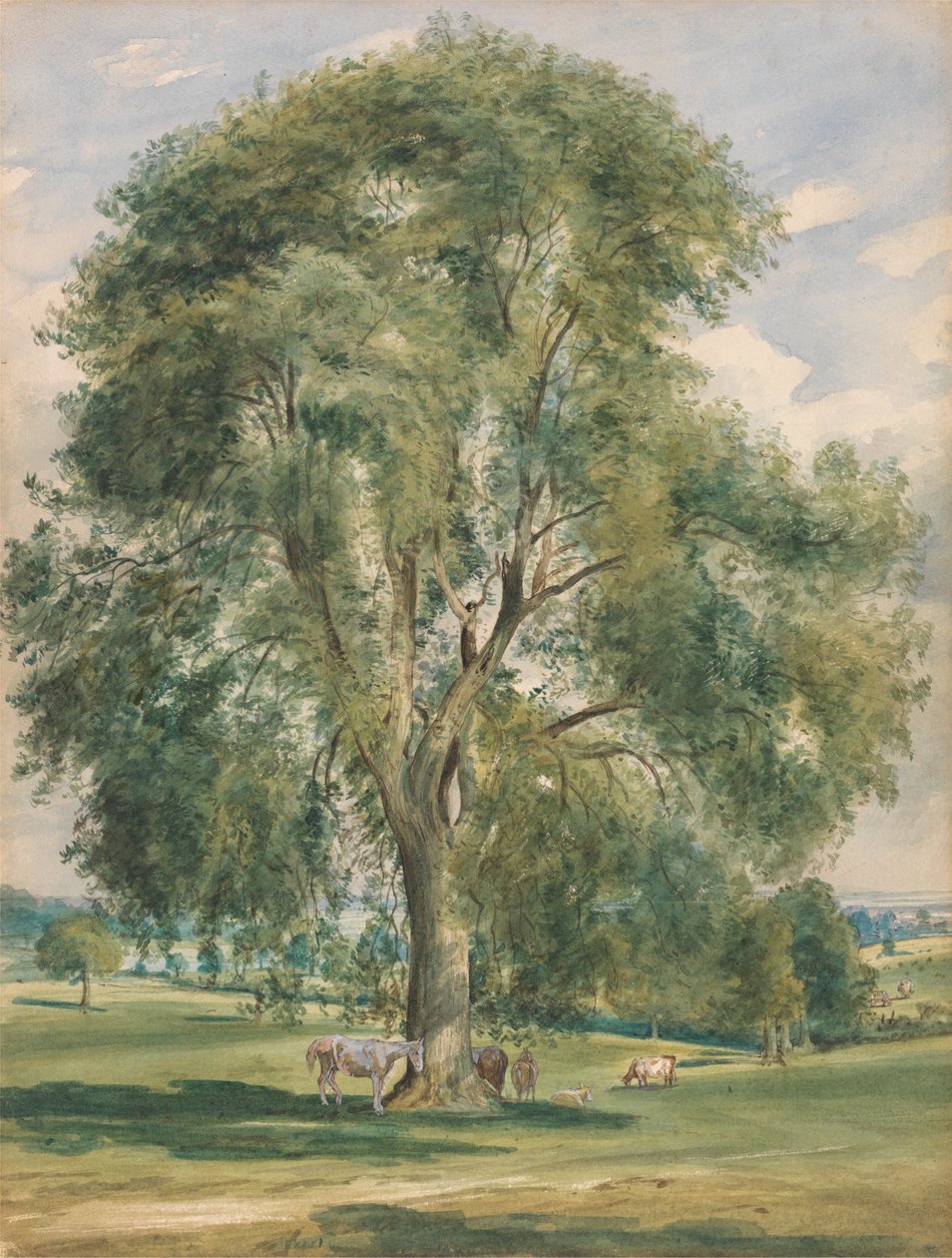 Ett stort träd i ett sommarlandskap, en häst som står vid basen av Lionel Constable