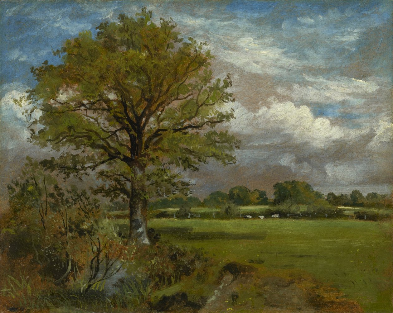 Träd på en äng, ca 1850 av Lionel Constable