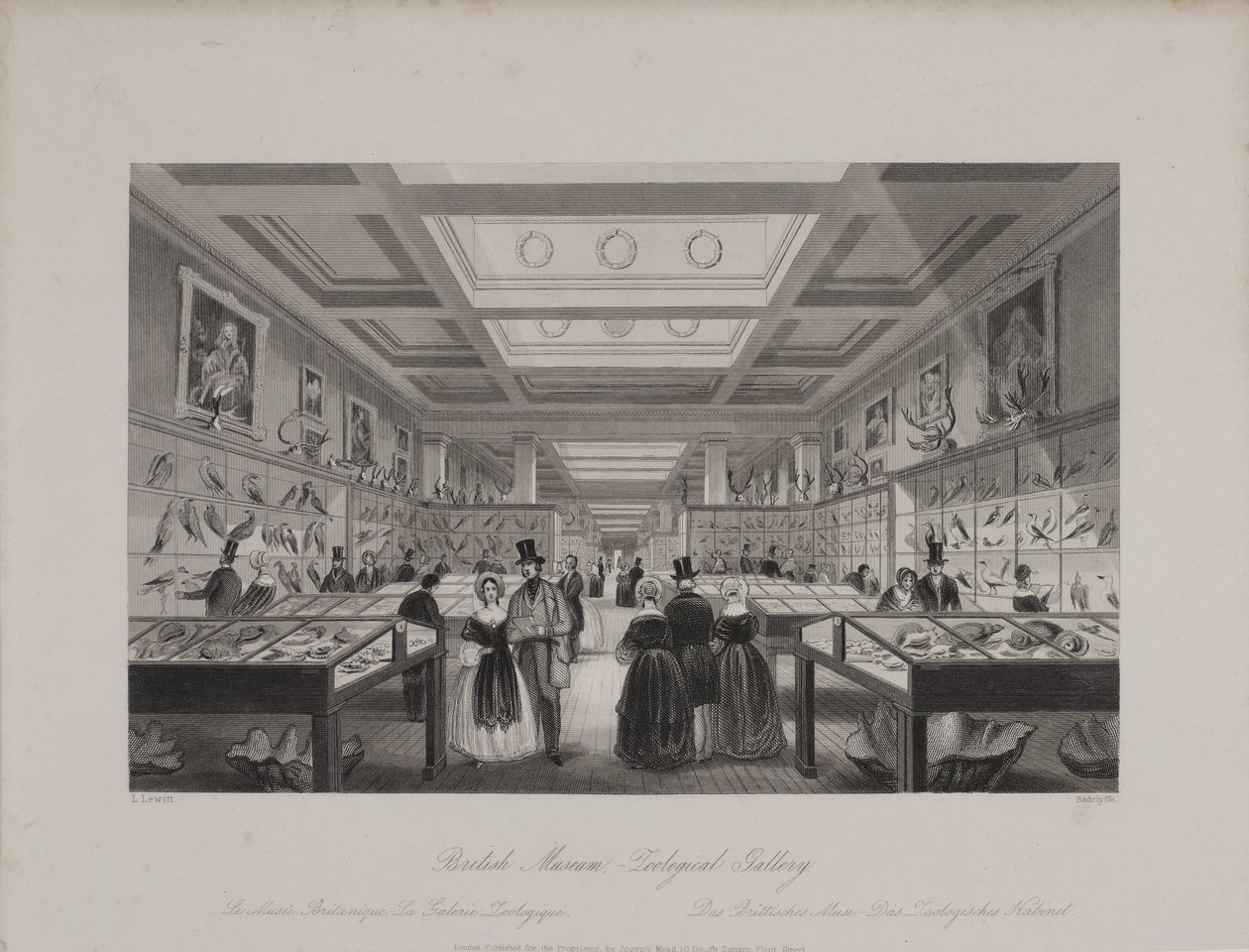 Vy över Zoological Gallery, British Museum som visar besökare som tittar på utställningar, ca 1850 (gravyr) av Llewellyn (after) Jewitt