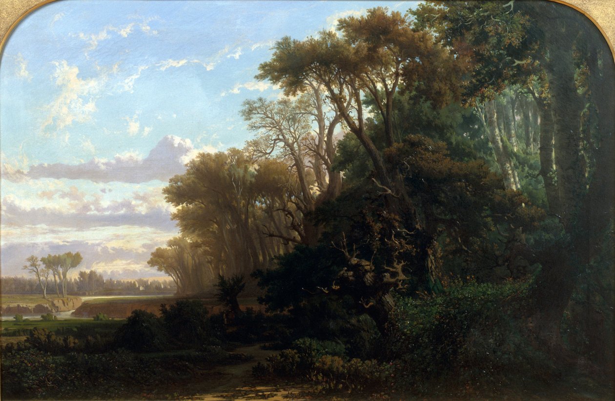 Landscape with Woods av Lluís Rigalt
