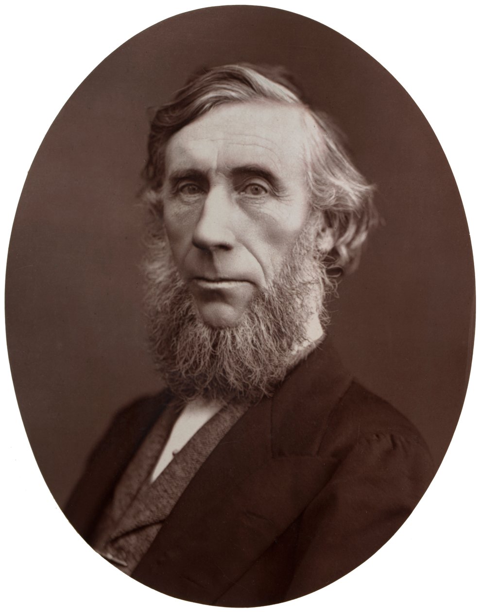 John Tyndall, DCL, LLD, FRS, professor i naturfilosofi vid Royal Institution, 1877. av Lock and Whitfield