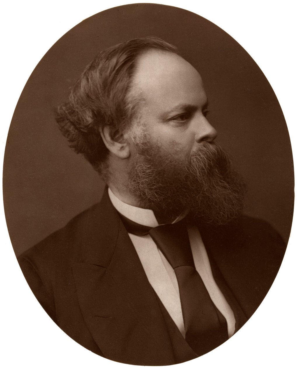 Samuel Plimsoll, Esq, MP, brittisk liberal politiker och social reformator, 1876. av Lock and Whitfield