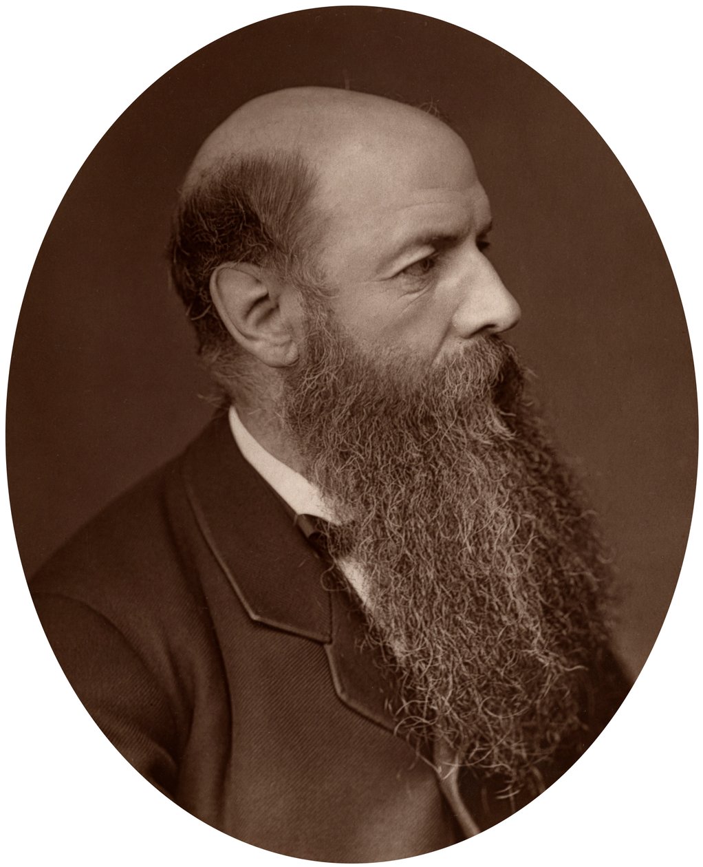 Sir Wilfrid Lawson, politiker, MP för Carlisle, 1882. av Lock and Whitfield