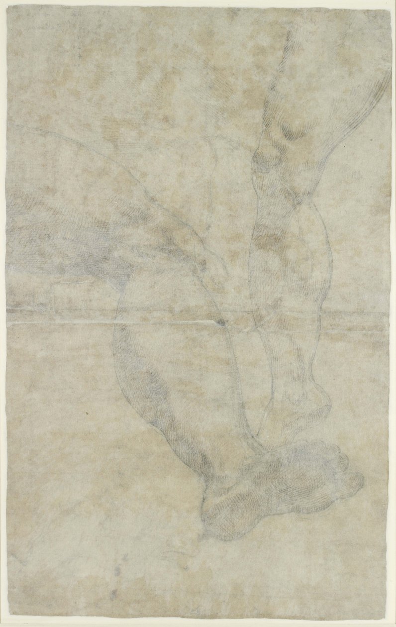 Verso: Studier av två par ben (penna och brunt bläck över svart krita) av Lodovico Carracci