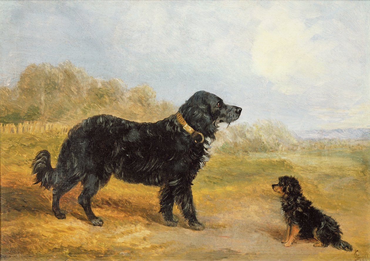 Hundar av Loey Campbell
