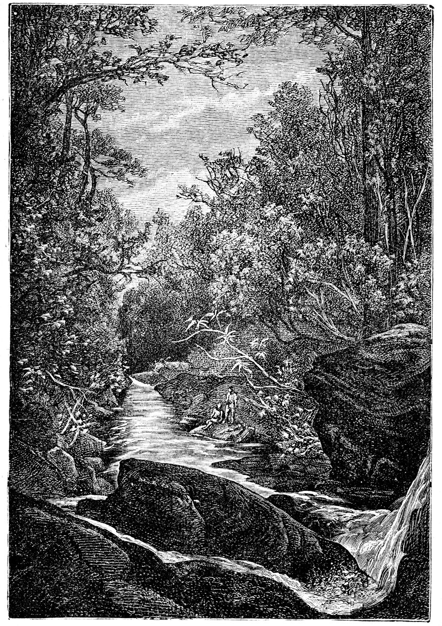 Bergsflod med stenar och vattenfall mitt i en skog. Teckning av Leon Benett gravyr av Meaulle för Hetzel-utgåvan av boken av Elysee (Elisee) Reclus (1830-1905) "Histoire d