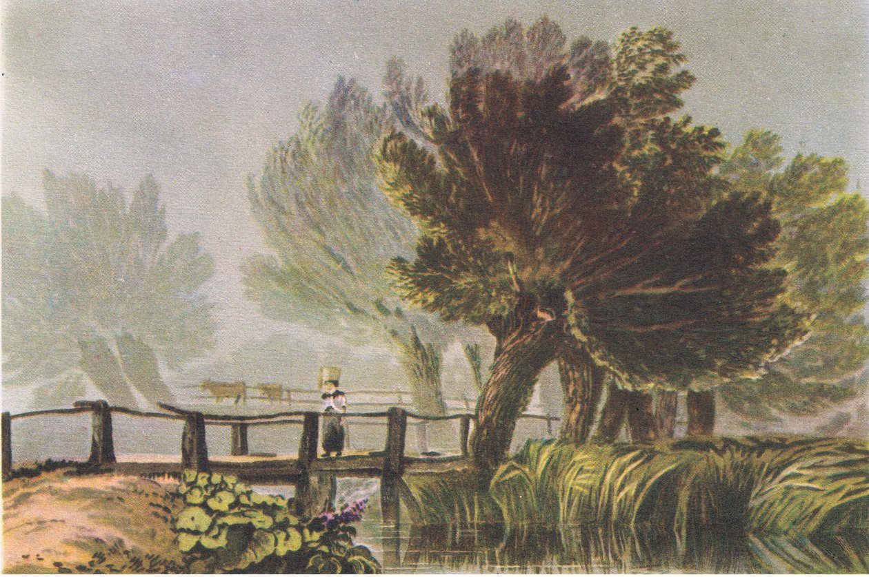 Llandrindod: Ash trees in spring, Nature in Britain publicerad av Collins, 1946 av Lonsdale Ragg