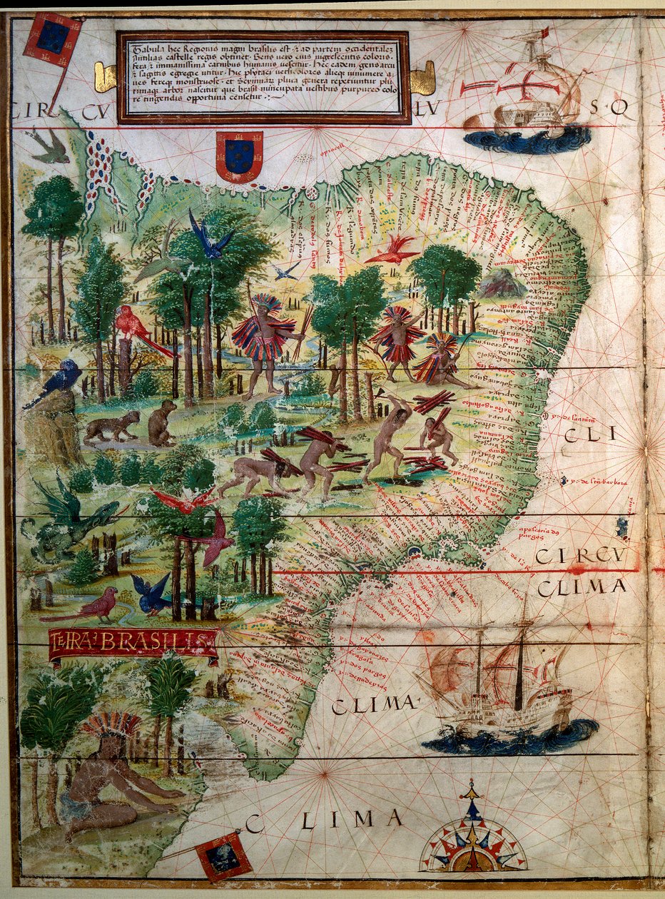Hydrografisk karta över Brasilien. Manuskript belyst "" Portuguese Nautical Atlas"" av kartografen Loppo Homem 1519 Paris. B.N. av Lopo Homem
