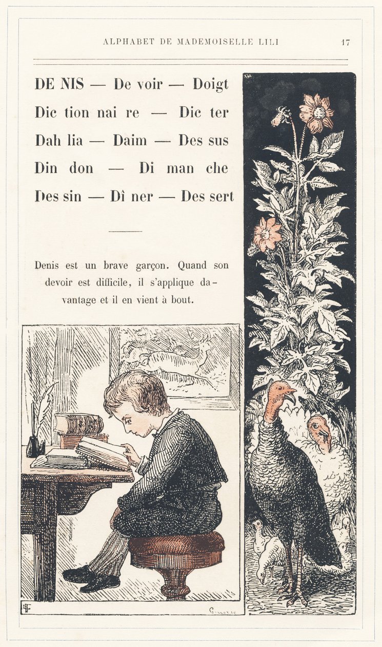 Denis, Duty, Finger, Dictionary, Dicter, Dahlia, Suede, Top, Turkey, Sunday, Drawing, Dinner, Dessert, sidan 17 - Alfabetet av Mademoiselle Lili, av L. Froelich och av en pappa (Hetzel själv). Bibliotheque  Magasin d