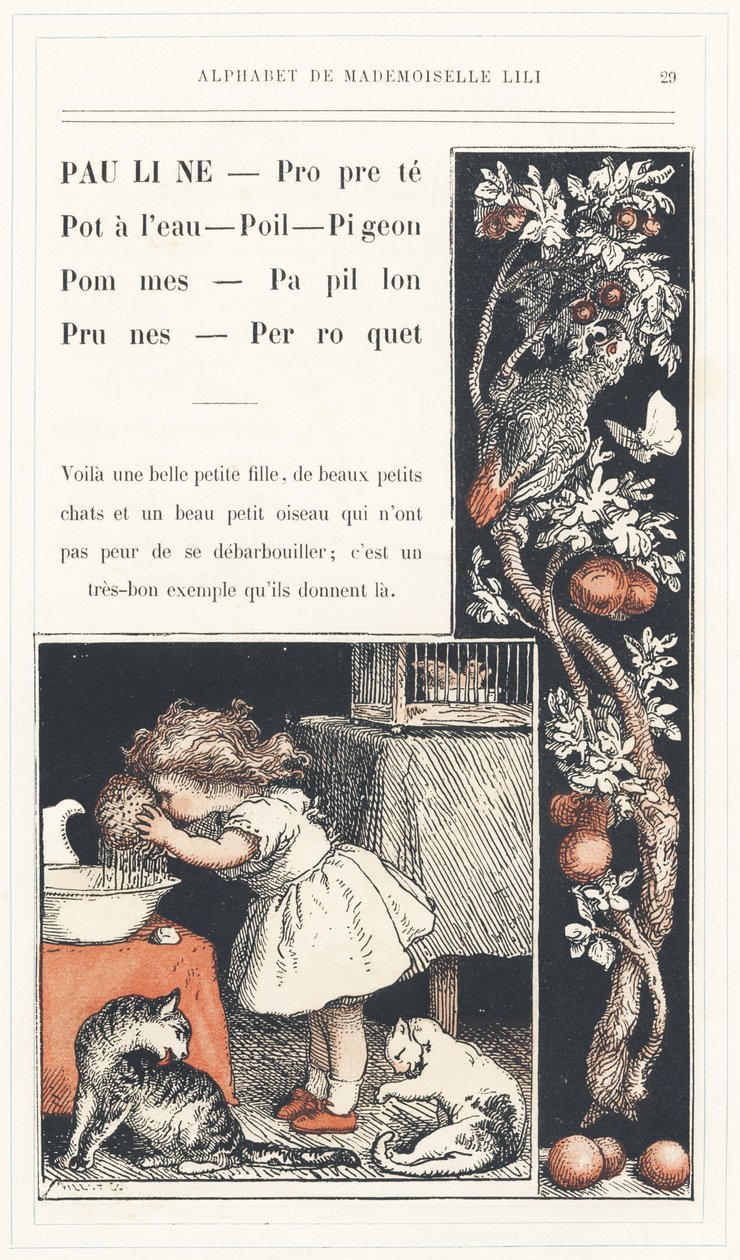 Pauline, ren, vattenkanna, hår, duva, äpplen, fjäril, plommon, papegoja, sidan 29 - Alfabetet av Mademoiselle Lili, av L. Froelich och av en pappa (Hetzel själv). Bibliotheque  Magasin d