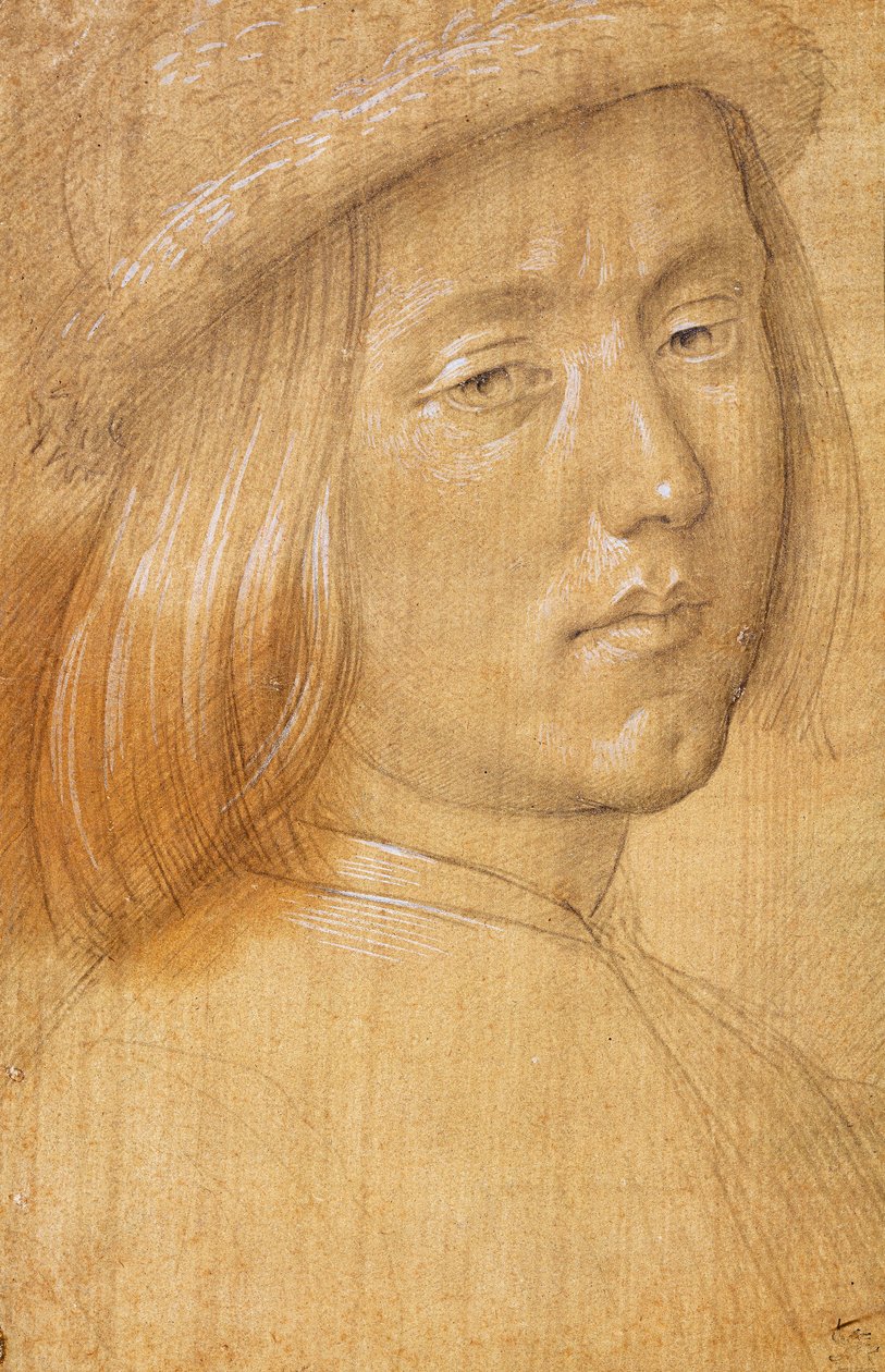 Head of a Youth av Lorenzo di Credi