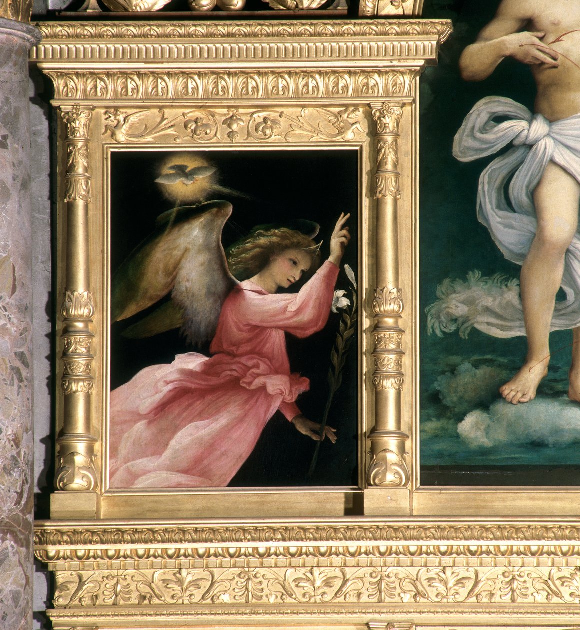 Annunciation Angel, detalj från Polyptych of San Giovanni Battista, c.1525 av Lorenzo Lotto