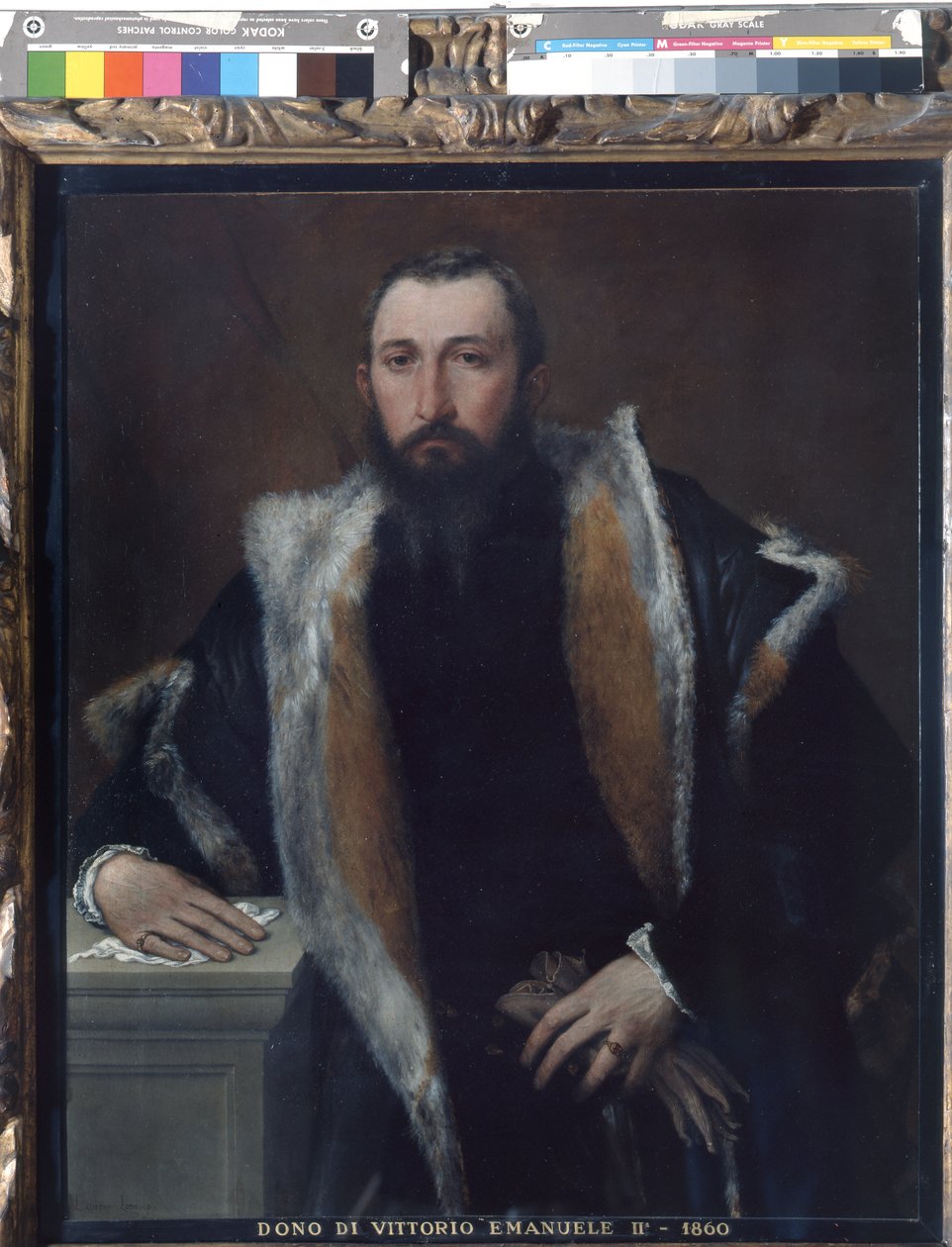Porträtt av Febo från Brescia av Lorenzo Lotto