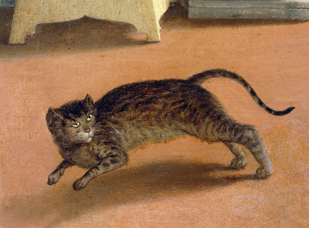 Skräckslagen katt, detalj från Recanati Annunciation, ca 1534, av Lorenzo Lotto (1480-1556), olja på duk av Lorenzo Lotto