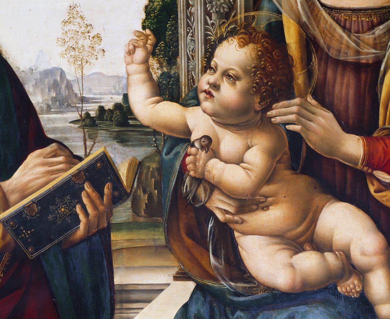 Baby Jesus, detalj från Madonna and Child with Saints av Lorenzo di Credi