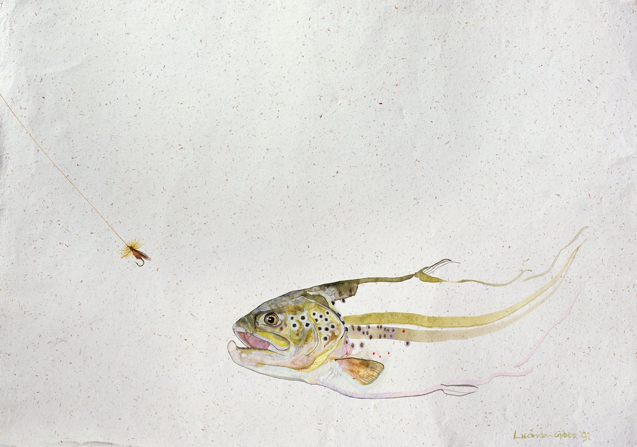 Öring som jagar en fiskares fluga, 1991, (akvarell på handgjort papper) av Lou Gibbs
