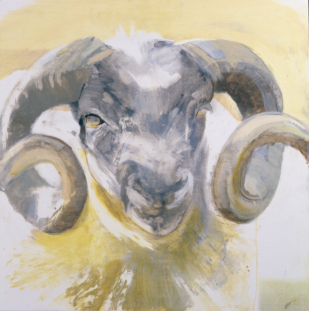 Long Horn Sheep (blandade medier på gesso panel) av Lou Gibbs