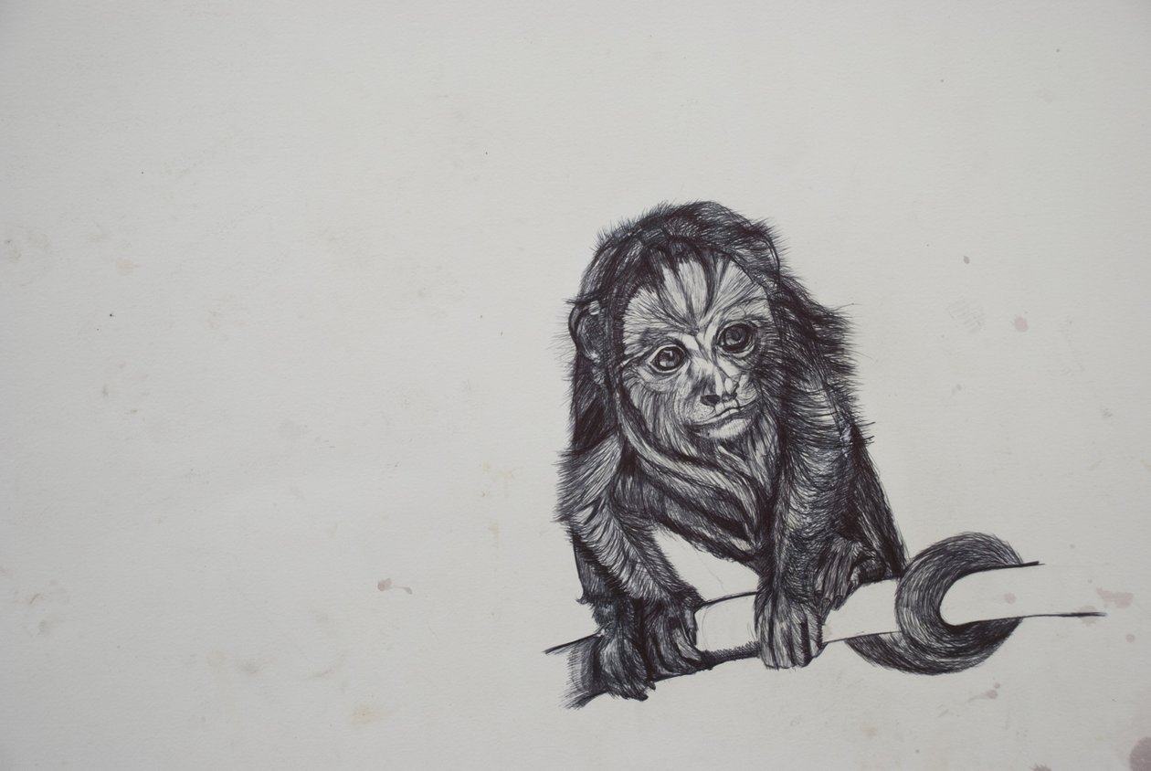 Monkey Business, 2016, (bic biro på papper) av Lou Gibbs